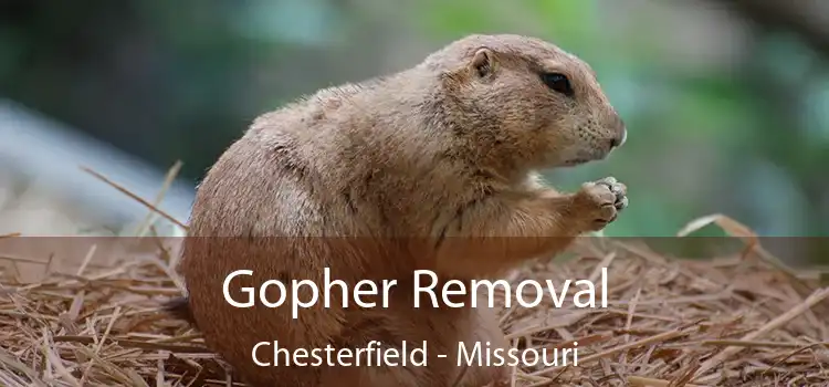 Gopher Removal Chesterfield - Missouri