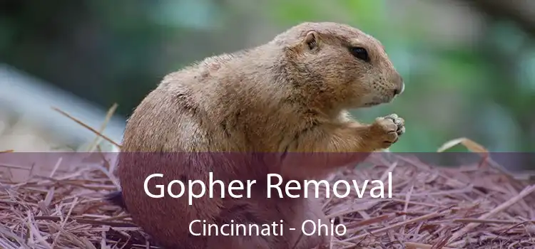 Gopher Removal Cincinnati - Ohio