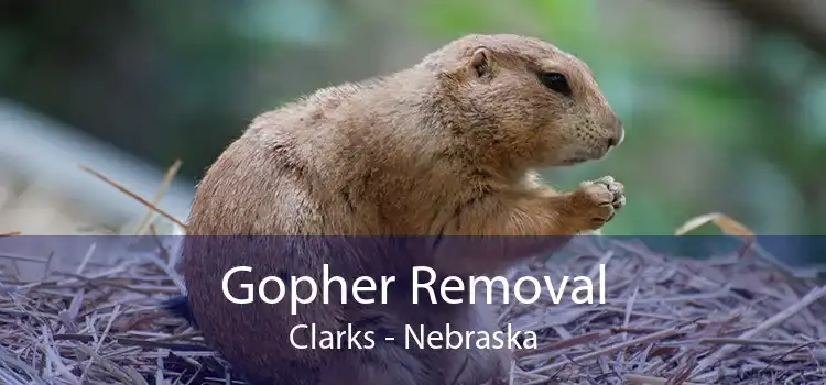 Gopher Removal Clarks - Nebraska