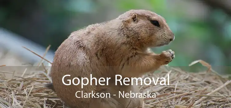 Gopher Removal Clarkson - Nebraska