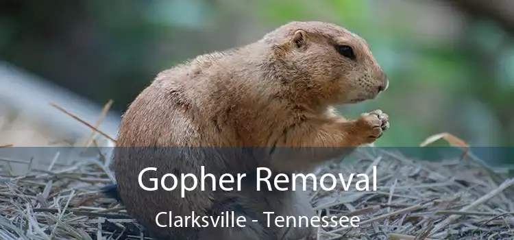 Gopher Removal Clarksville - Tennessee