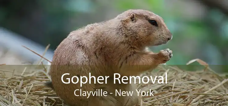 Gopher Removal Clayville - New York