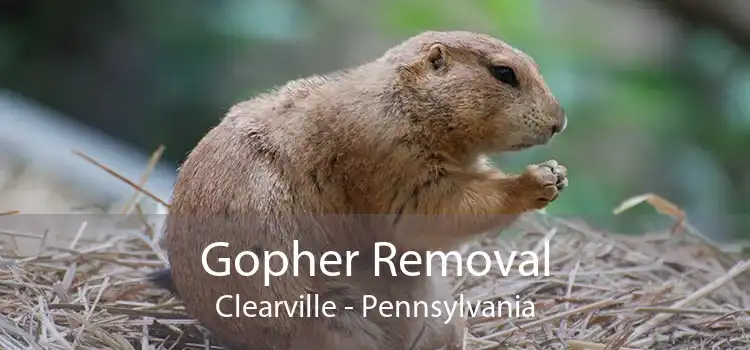 Gopher Removal Clearville - Pennsylvania