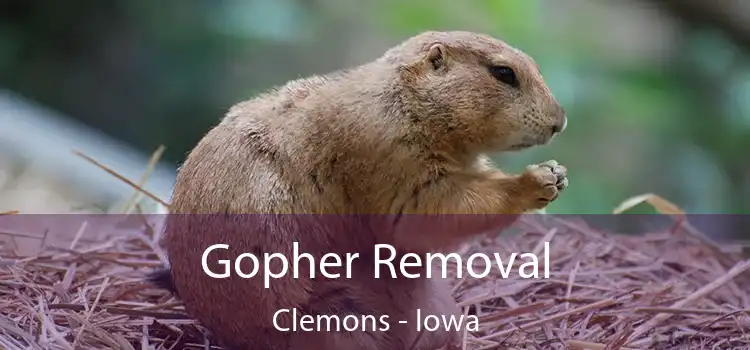 Gopher Removal Clemons - Iowa