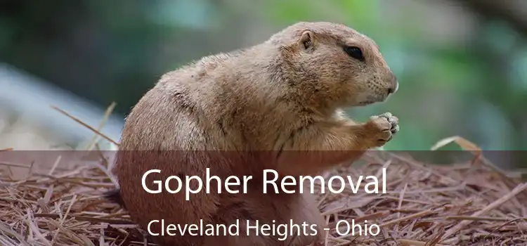 Gopher Removal Cleveland Heights - Ohio