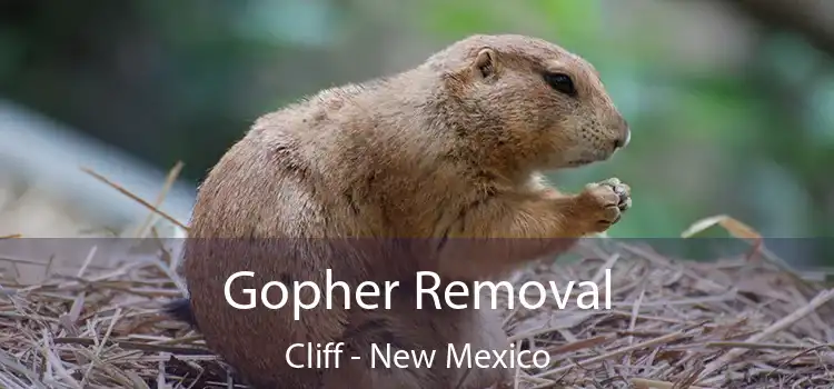 Gopher Removal Cliff - New Mexico