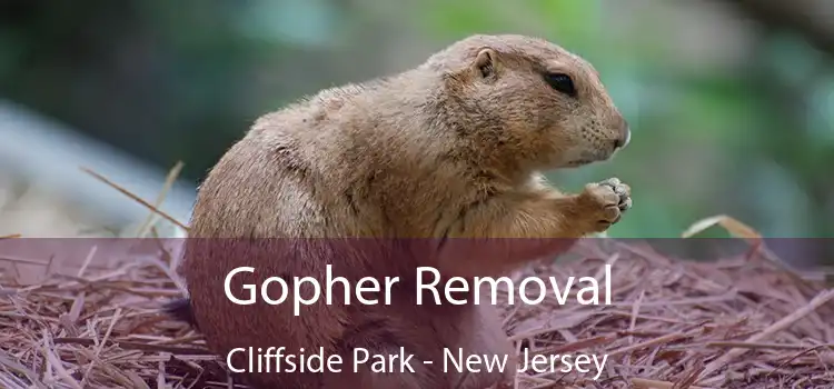 Gopher Removal Cliffside Park - New Jersey