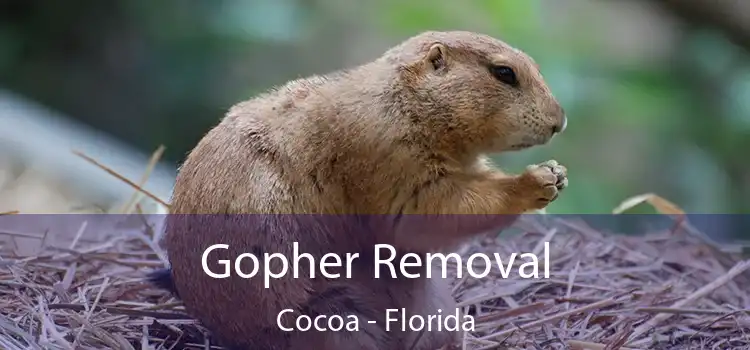 Gopher Removal Cocoa - Florida