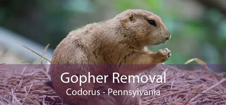 Gopher Removal Codorus - Pennsylvania