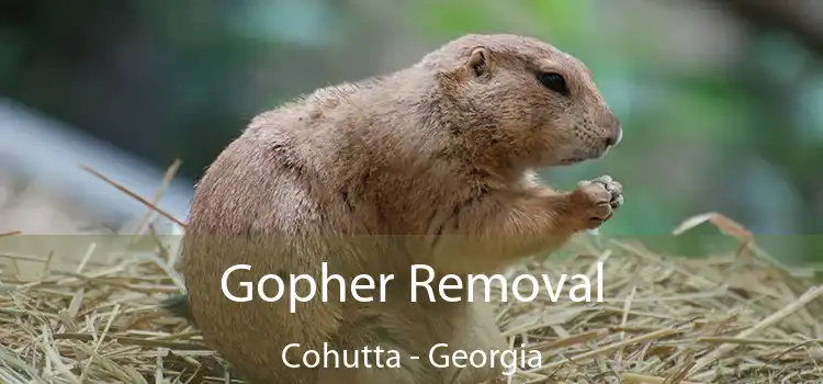 Gopher Removal Cohutta - Georgia