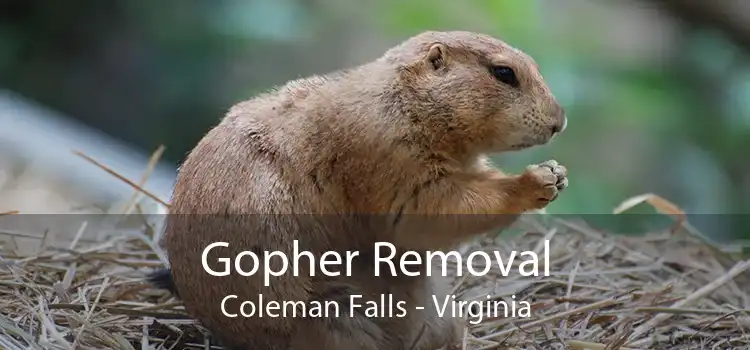 Gopher Removal Coleman Falls - Virginia