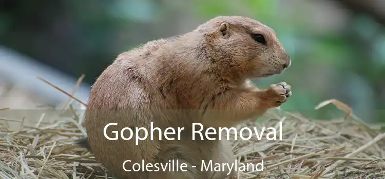 Gopher Removal Colesville - Maryland