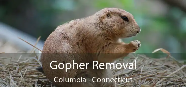 Gopher Removal Columbia - Connecticut