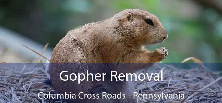 Gopher Removal Columbia Cross Roads - Pennsylvania