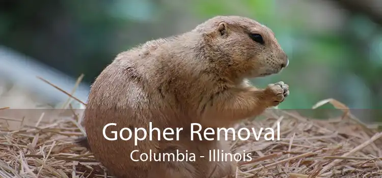 Gopher Removal Columbia - Illinois