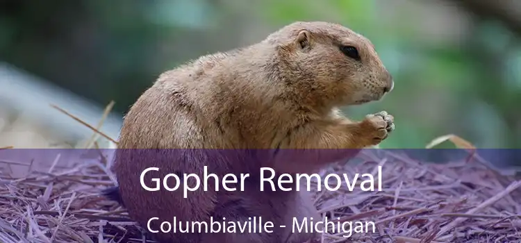 Gopher Removal Columbiaville - Michigan