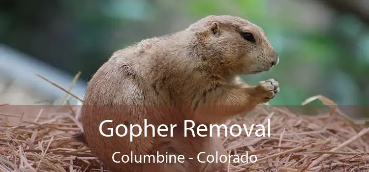 Gopher Removal Columbine - Colorado