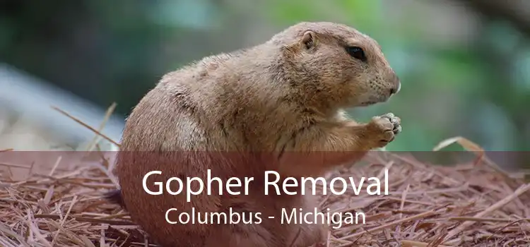 Gopher Removal Columbus - Michigan