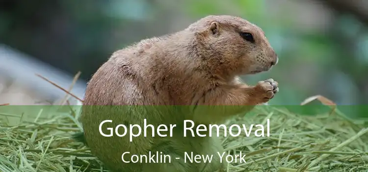 Gopher Removal Conklin - New York