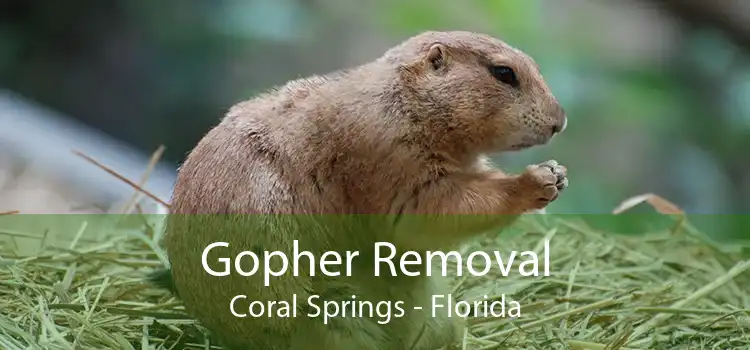 Gopher Removal Coral Springs - Florida