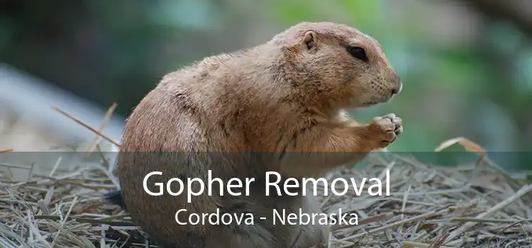 Gopher Removal Cordova - Nebraska