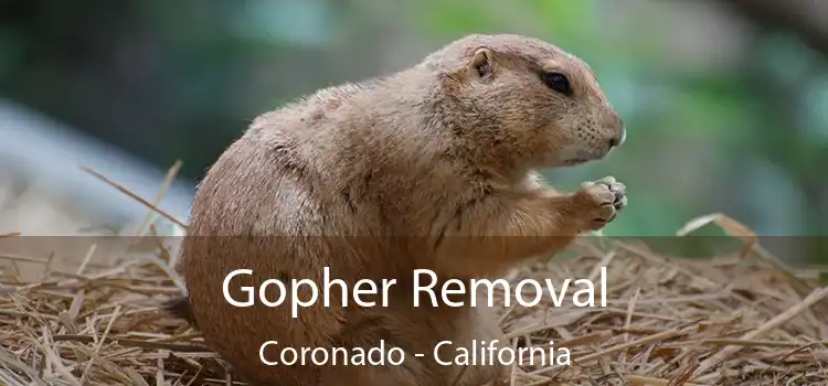 Gopher Removal Coronado - California