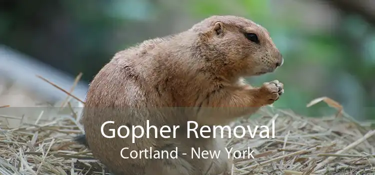 Gopher Removal Cortland - New York