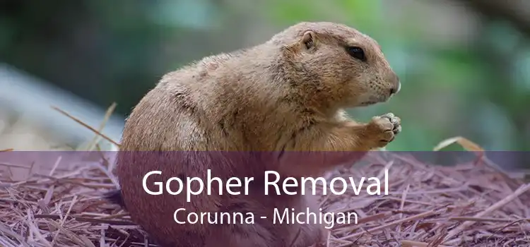 Gopher Removal Corunna - Michigan