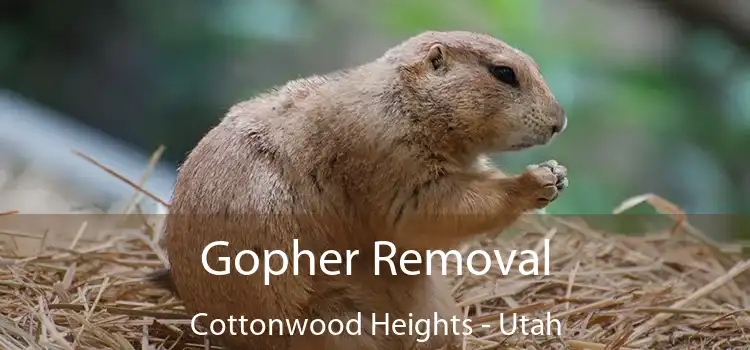 Gopher Removal Cottonwood Heights - Utah