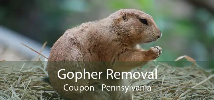 Gopher Removal Coupon - Pennsylvania