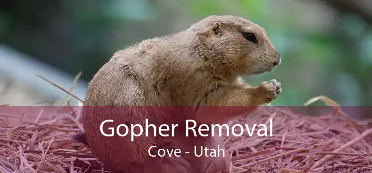 Gopher Removal Cove - Utah
