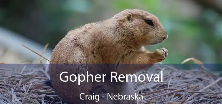 Gopher Removal Craig - Nebraska