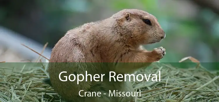 Gopher Removal Crane - Missouri