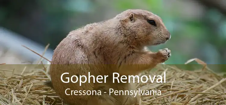 Gopher Removal Cressona - Pennsylvania