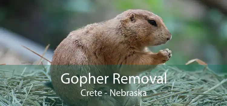 Gopher Removal Crete - Nebraska