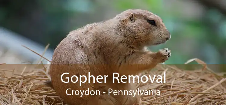 Gopher Removal Croydon - Pennsylvania