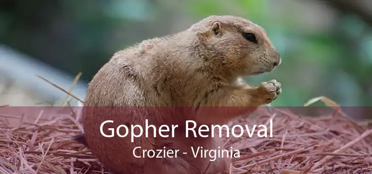 Gopher Removal Crozier - Virginia