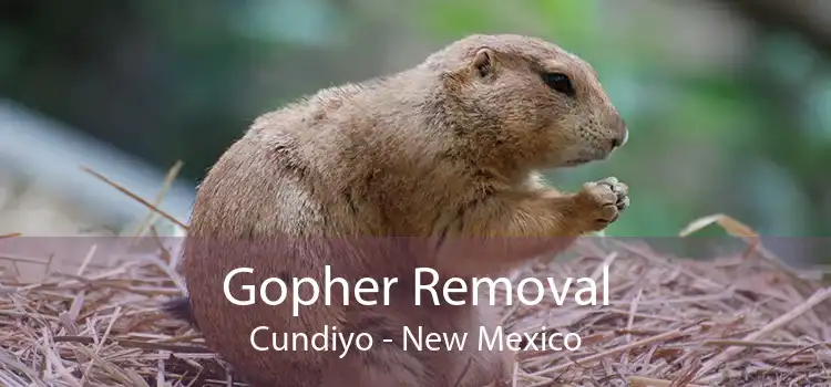 Gopher Removal Cundiyo - New Mexico