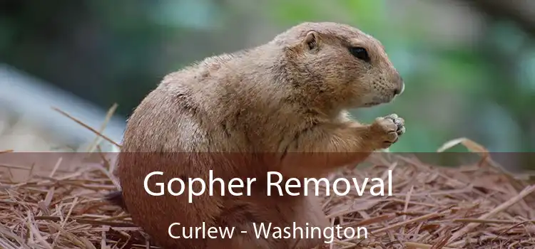Gopher Removal Curlew - Washington