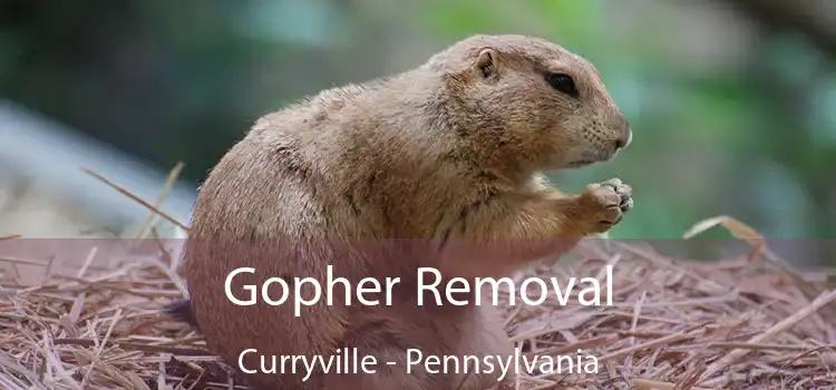 Gopher Removal Curryville - Pennsylvania