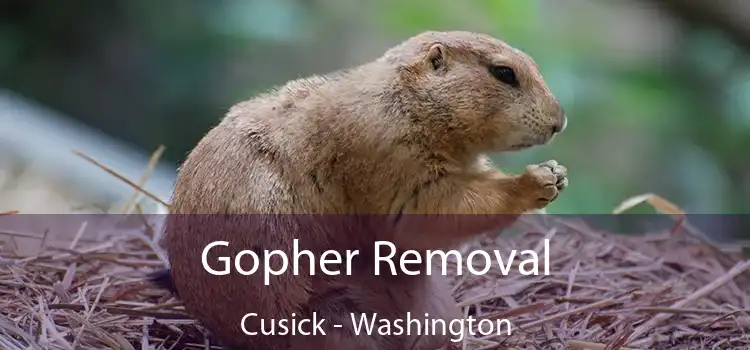 Gopher Removal Cusick - Washington