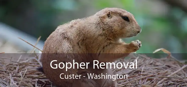 Gopher Removal Custer - Washington