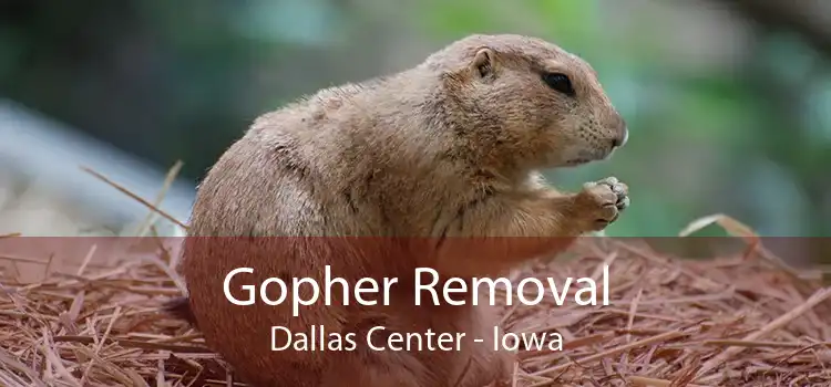 Gopher Removal Dallas Center - Iowa