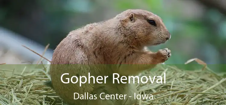 Gopher Removal Dallas Center - Iowa