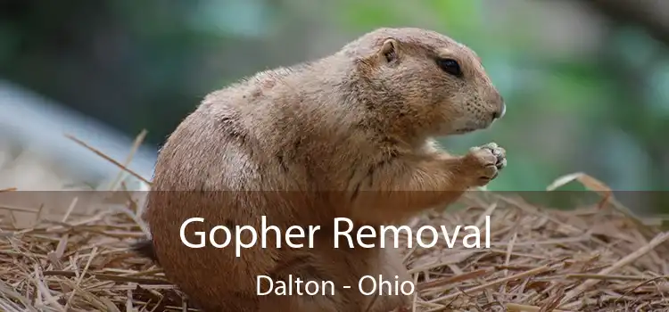 Gopher Removal Dalton - Ohio