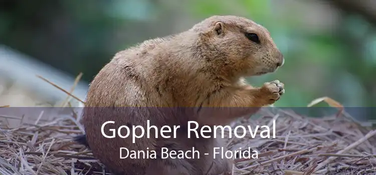 Gopher Removal Dania Beach - Florida