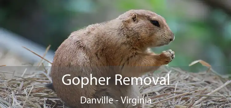 Gopher Removal Danville - Virginia