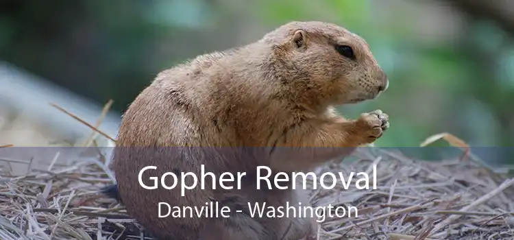 Gopher Removal Danville - Washington