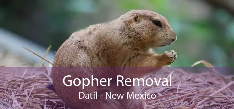 Gopher Removal Datil - New Mexico