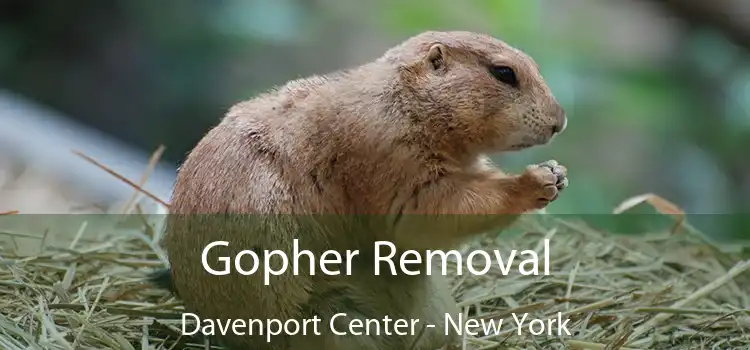 Gopher Removal Davenport Center - New York